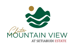 Cluster Mountain View